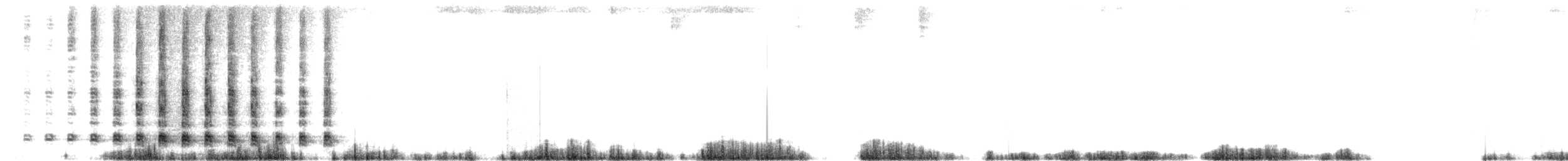ibis běločelý - ML439565531