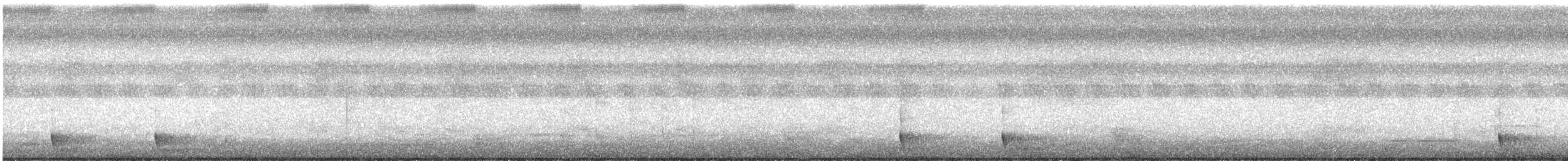 Large-tailed Nightjar - ML439596601