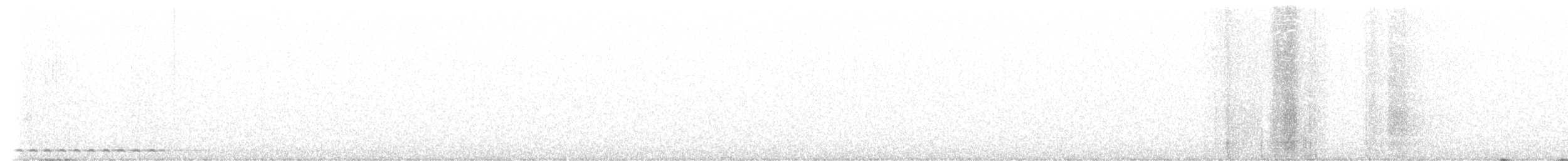 Boreal Owl - ML439599071