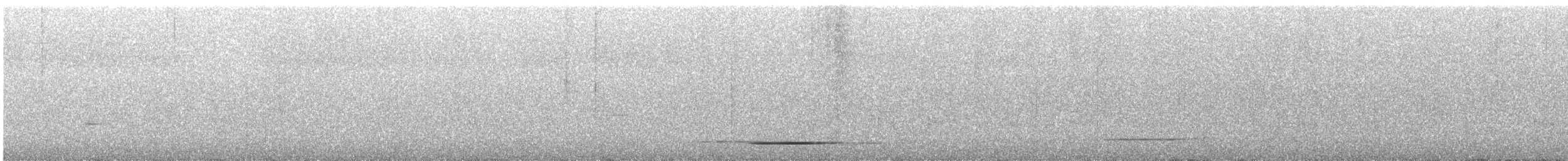 Thicket Tinamou - ML439632441