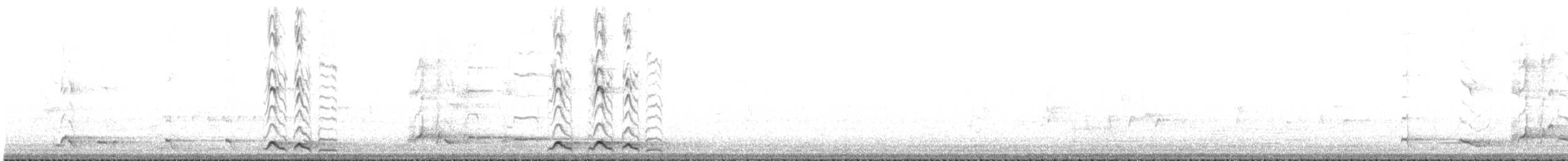 Gray Butcherbird - ML439640511
