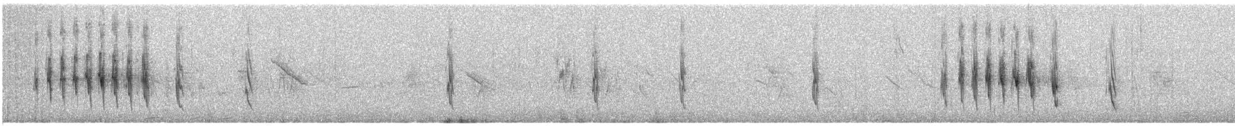 Weißkehl-Erdhacker - ML439693381
