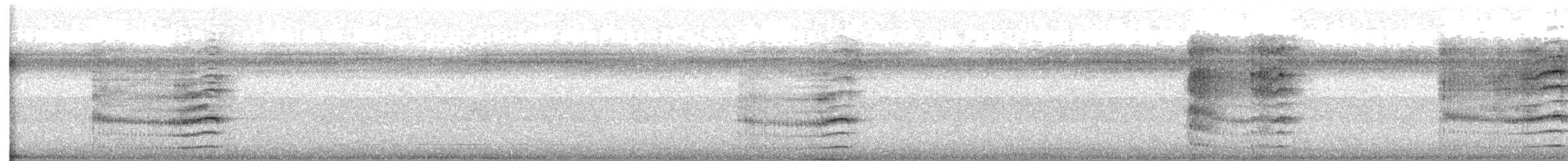 Pabuç Gagalı Tiran [mexicanus grubu] - ML439753551