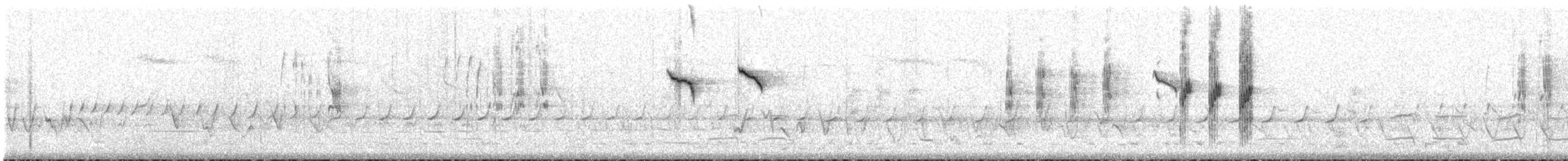Slaty-backed Thornbill - ML439758151
