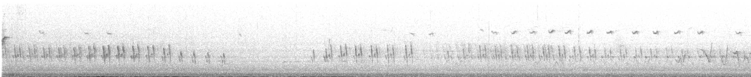 Slaty-backed Thornbill - ML439760131