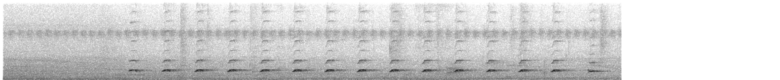 Brasilzwergkauz - ML43979731