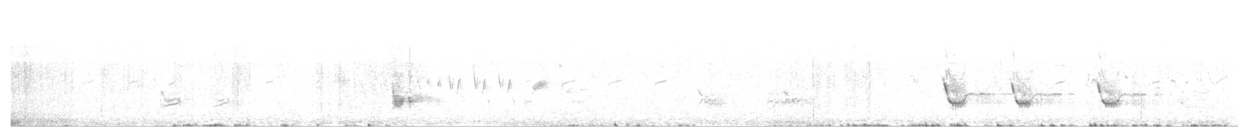 Zozo paparzuria - ML439846161