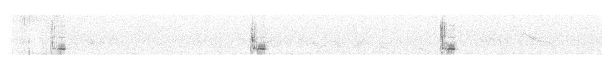 Серый сорокопут (aucheri/buryi) - ML439852141