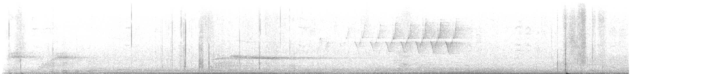 Protonoter Ötleğeni - ML439916801