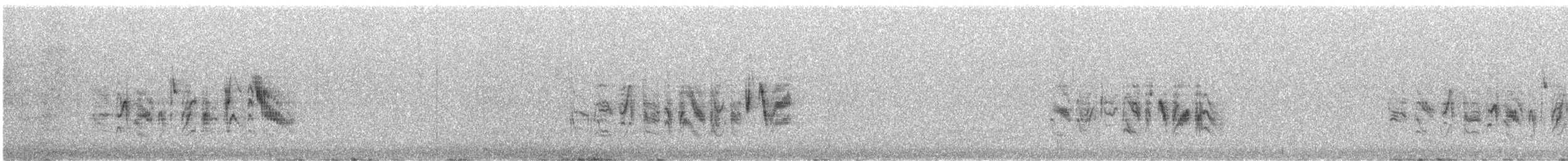 ベルモズモドキ（bellii／medius） - ML439940871