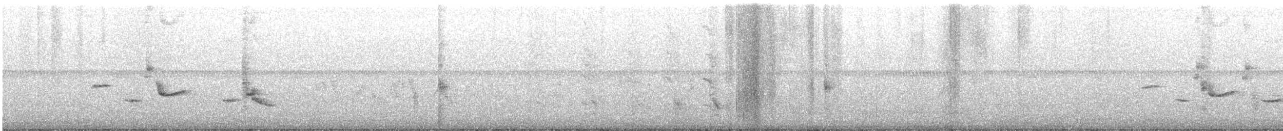 Oriole des vergers - ML440016471