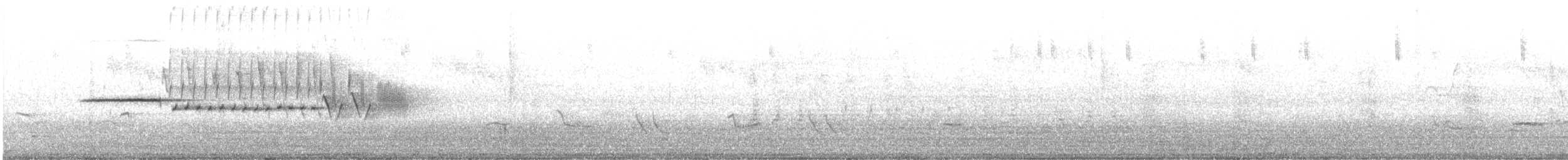 Bruant à couronne blanche (nuttalli/pugetensis) - ML440114901