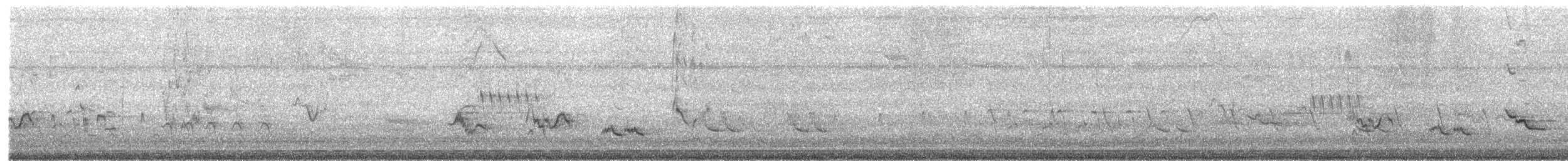 American Robin - ML440117031