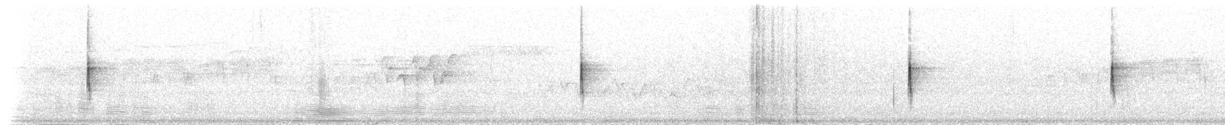 Миртовый певун (coronata) - ML44012751