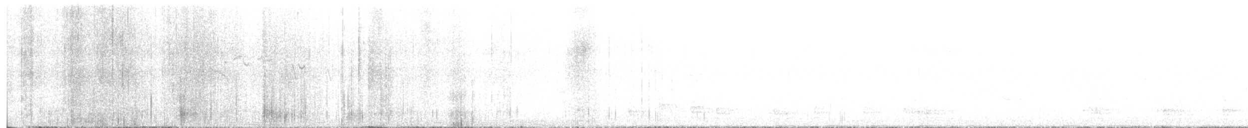 amerikatrekryper - ML440133471