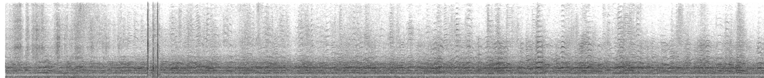 Казарка мала (підвид hutchinsii) - ML44014361