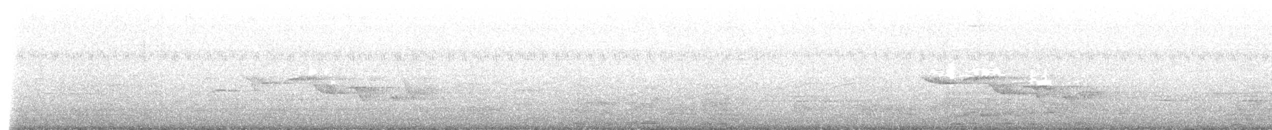 Oriental Magpie-Robin - ML440146361