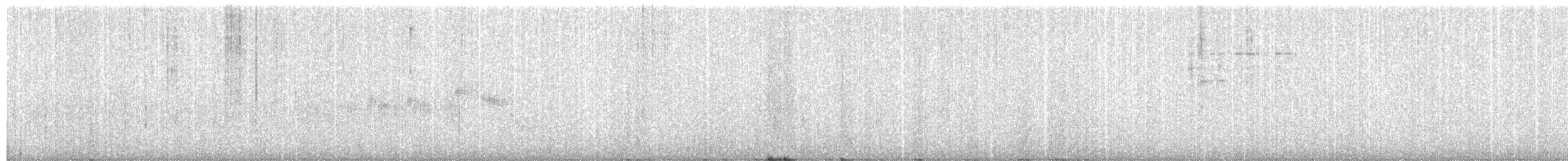 Black-throated Gray Warbler - ML440198871