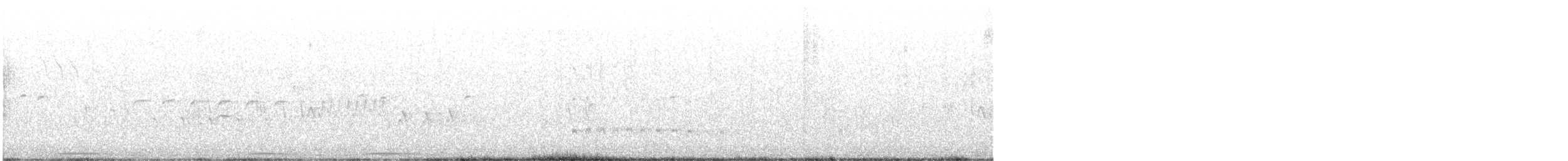 Тауї плямистий - ML440218311