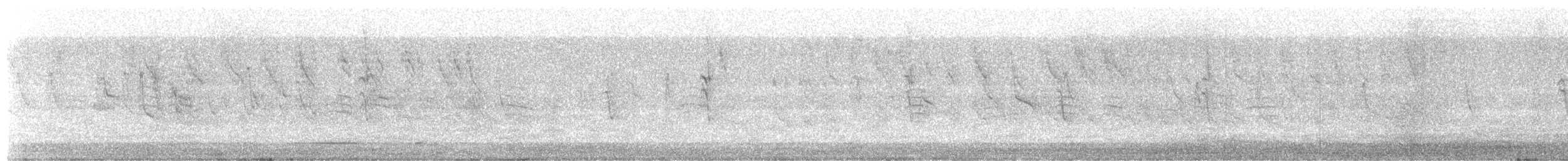 Амадина-рубінчик смугаста - ML440256121