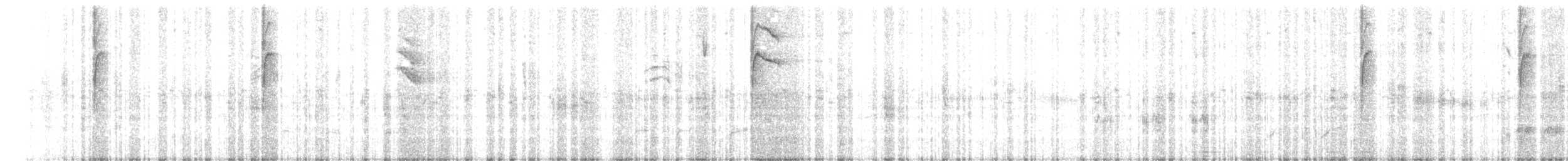 Свертушка чорноголова - ML440268121
