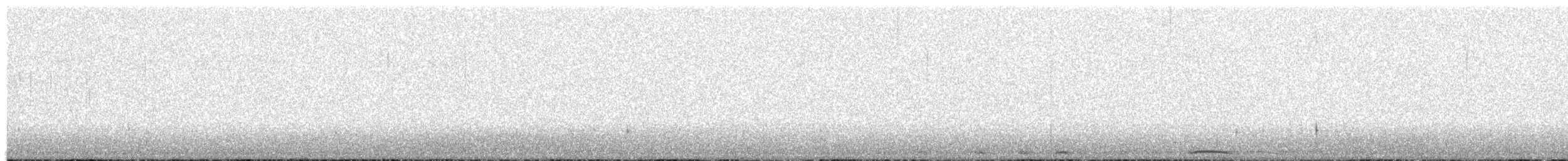 Chouette fasciée - ML44028811