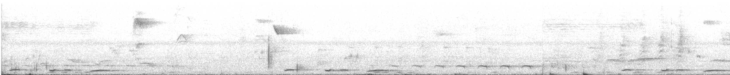 holub krátkozobý - ML440440811