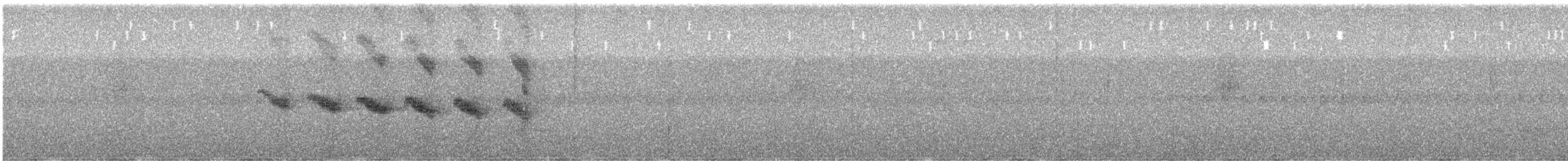 Star-throated Antwren - ML440459931