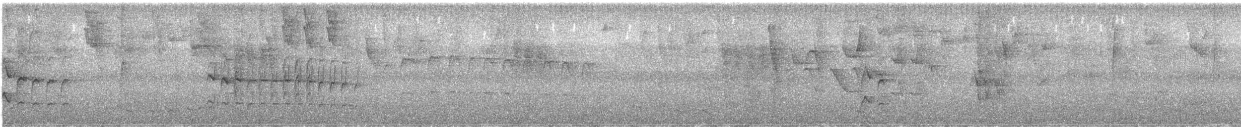 Ak Kanatlı Alev Karıncakuşu - ML440461771