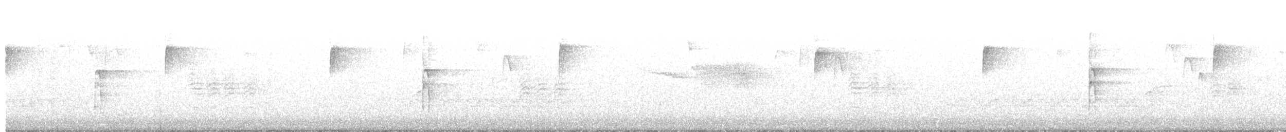indianerspett (villosus gr.) - ML440465571