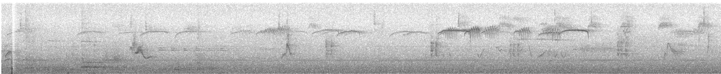 solitary vireo sp. - ML440476771