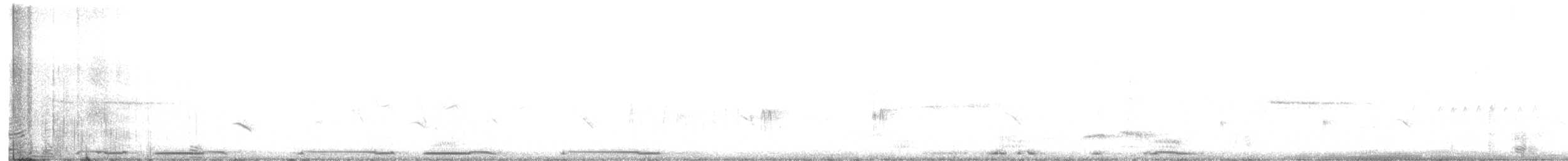 Weißflügeltaube - ML440529021