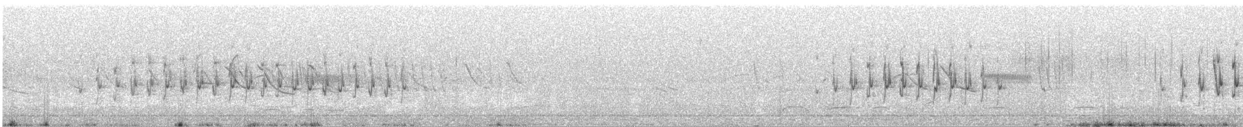 Пестрогрудый норник - ML440539501