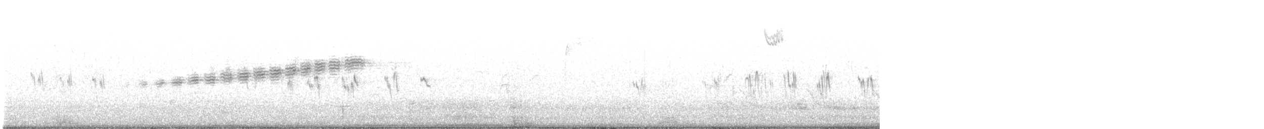 Prairie Warbler - ML440565201