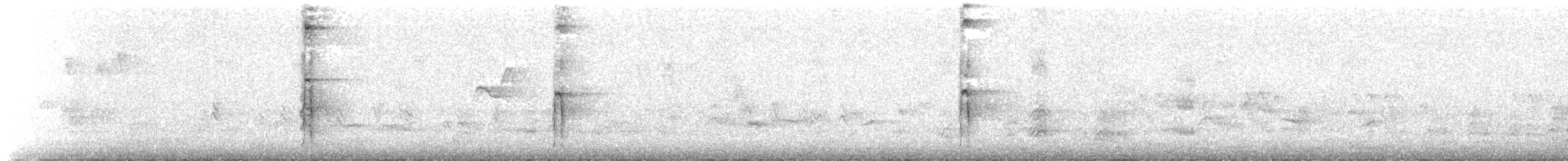 strakapoud americký [skupina harrisi] - ML440565311