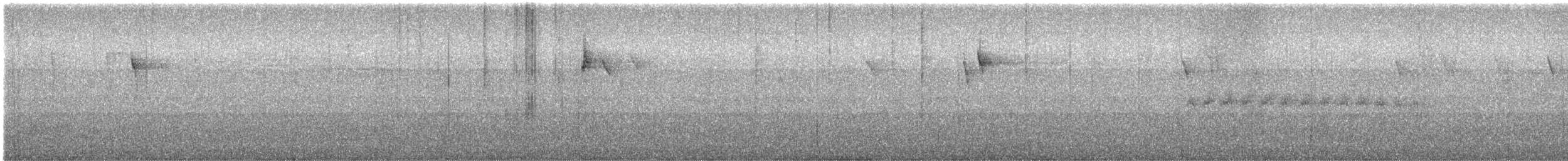 Rotstirntangare - ML440613201