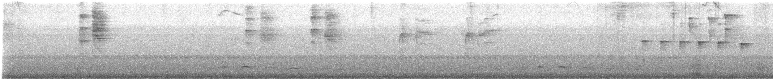 Schwarzbrust-Ameisenvogel - ML440613691