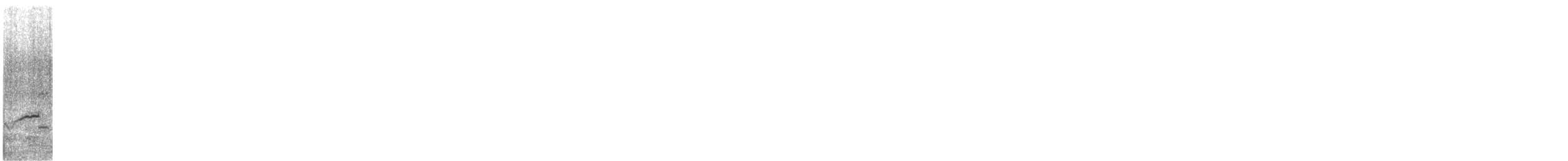 太平洋金斑鴴 - ML440660101