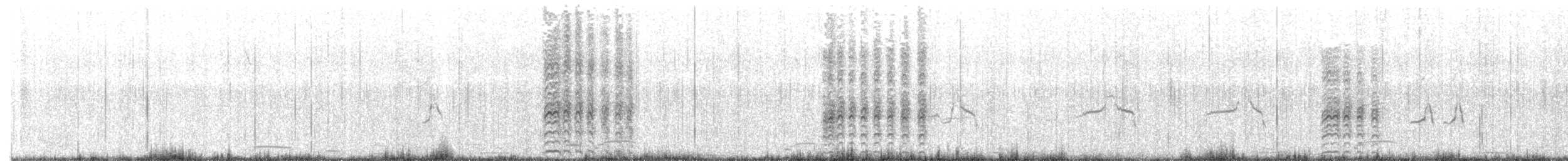 Sterne à longues pattes - ML440741561