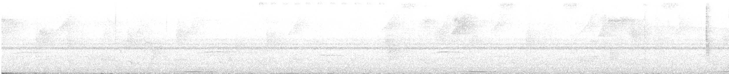 Белозобая перепелиная горлица - ML440777531