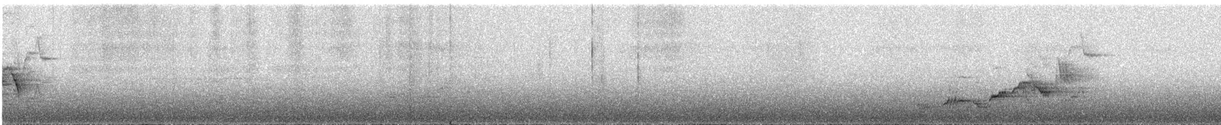 Дрізд-короткодзьоб Cвенсона - ML440778491