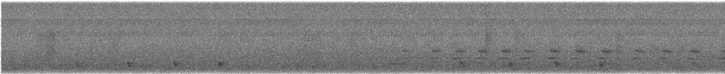 Large-tailed Nightjar - ML440782521