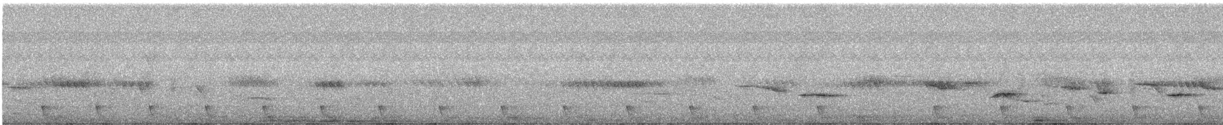 Large-tailed Nightjar - ML440782621