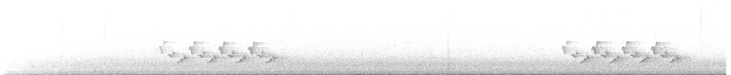 Поплітник каролінський - ML440789691