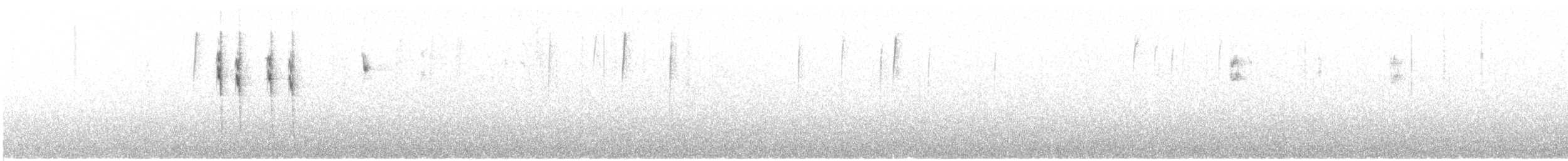 Haplospize gris-de-plomb - ML440852111