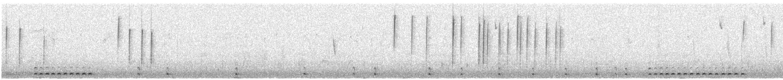 Серогрудый зобатый бегунок - ML440879791