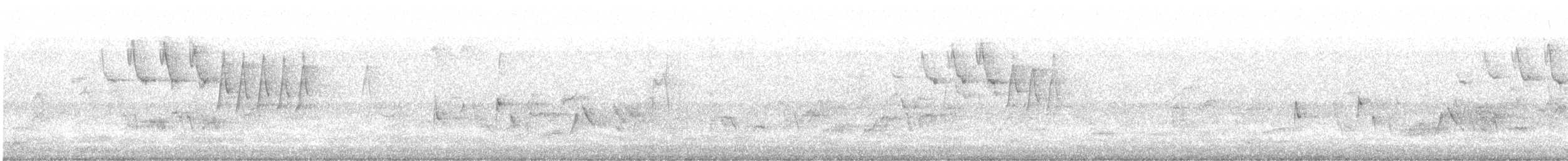 Naşvil Ötleğeni - ML440888111