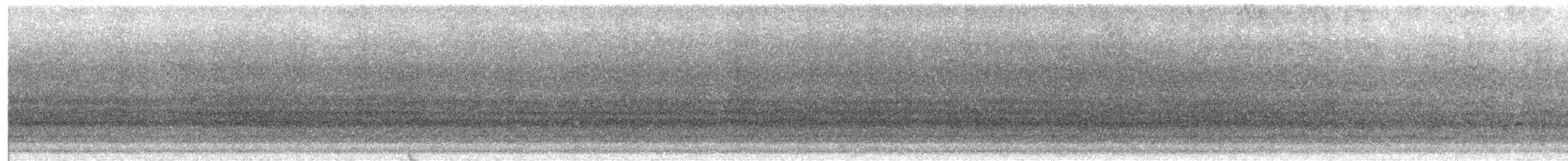 Aratinga Ojiblanca - ML440900021