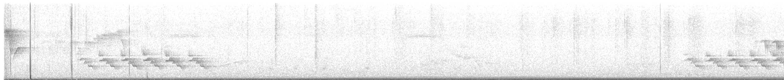 Поплітник каролінський - ML440914111