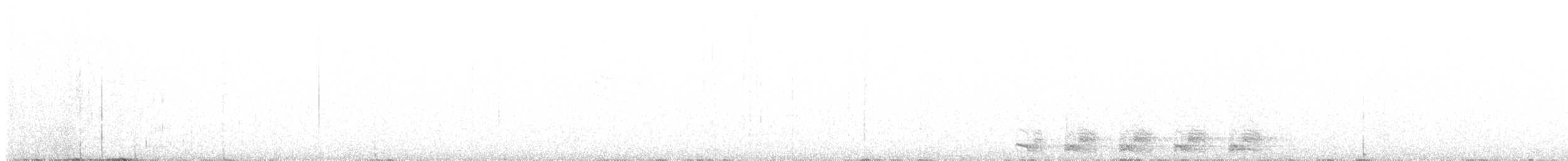 Trogon élégant (groupe ambiguus) - ML440936131